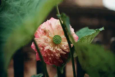 111343_073.jpg